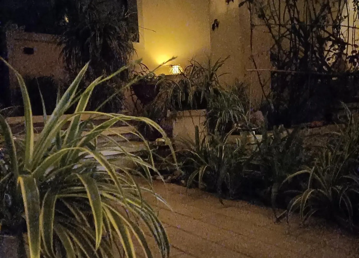 Bed & Breakfast Gemma Di Gallura Charme B&B Olbia